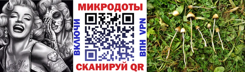 хочу наркоту  Таганрог  Псилоцибиновые грибы Psilocybe 